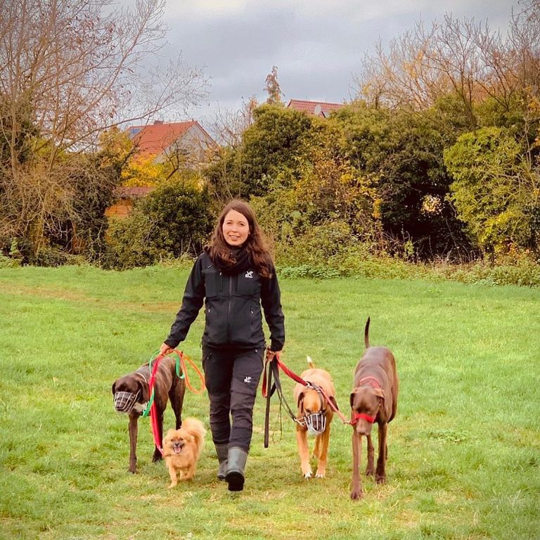 Madeline beim dogwalken mit 4 Hunden, darunter 3 Maulkorbträger