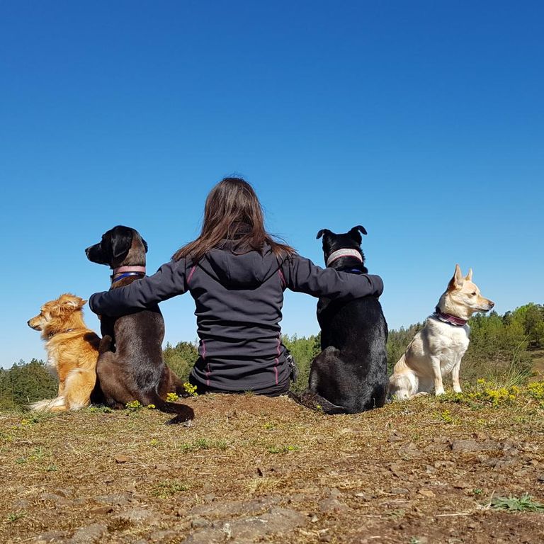 Meine Hunde und ich, mit den Blick in die Ferne