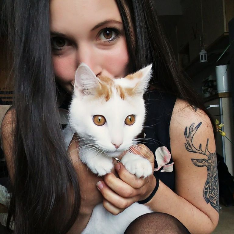 Kater Diego auf meinem Schoß